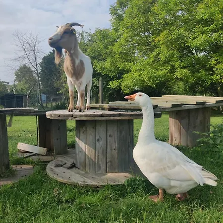 Casa vacanze 4 à 8 Pers, Convivialité Et Confort Valambray