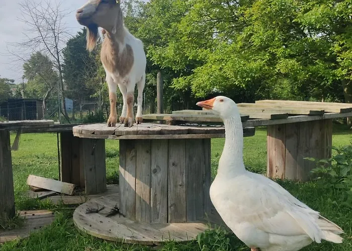 Holiday home 4 A 8 Pers, Convivialite Et Confort Valambray